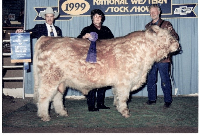 HMS Lady Olive x Top Gun I of Mapleview Heifer-Sexed Embryos