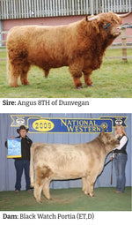 Parents of WL Genesis (ET,D) Highland Bull, Sire: Angus 8th of Dunvegan & Dam: Black Watch Portia